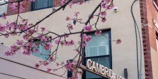 Cambridge Loft Gallery 1