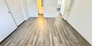 1008 Falconhead Lane Gallery 7