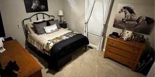 2949 Tyre Neck Road Gallery 12