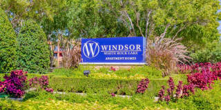 Windsor on White Rock Lake Gallery 11