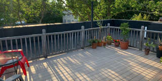 5 Colliston Rd Gallery 12
