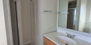 2 Bedroom Walking Distance to NCSU! 2 Bedroom Walking Distance to NCSU! Gallery 15
