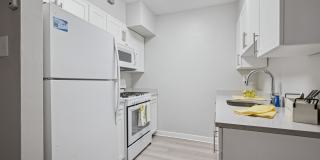 Mt. Airy Place Gallery 8