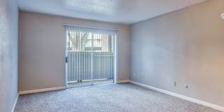 Summer Creek Gallery 5