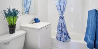 Harrison Somerset Gallery 6