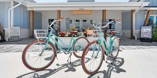 Render Legacy Trail Gallery 36