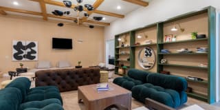 Cavalli at Iron Horse Station Gallery 29