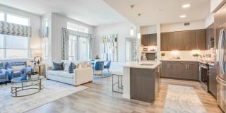 The Avalyn Gallery 4