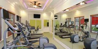 Briton Trace Apartments Gallery 91