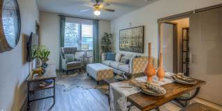 The Strand Gallery 5