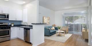 Skyview Gallery 13