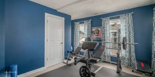 Available Now! Gallery 15