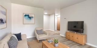 Lombard Ridge Gallery 18