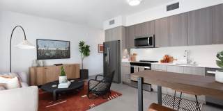 Star Harbor Gallery 20