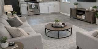 Updated 5 Bed, 2 Bath in Euclid Gallery 3