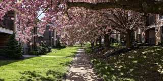 Goshen Terrace Gallery 36