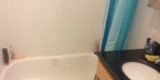 Fort Hill 5 Bed – 1,100 Sq Ft – W/D in Unit – High Ceilings – 9/1 Gallery 10