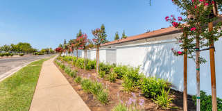 Arbor Collection Gallery 7