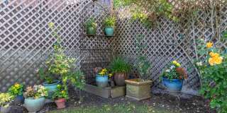 308-1-F-HL Gallery 41