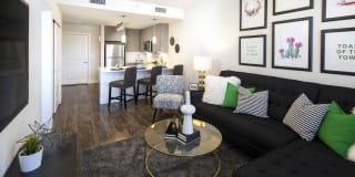 Highlands 32 Gallery 30