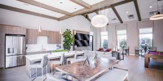 The Strand Gallery 12