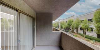 Club Marina Gallery 6