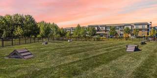 The Ascent Plainfield Gallery 31