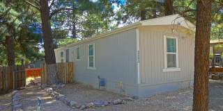 2343 Gambel Oak Trail Gallery 1