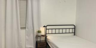 26337 Dracaea Gallery 1