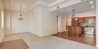 Boca Raton Gallery 30