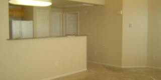 Move-In Ready Condo with Private Balcony & Modern Upgrades Gallery 34