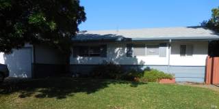 287 Camellia Street Gallery 1