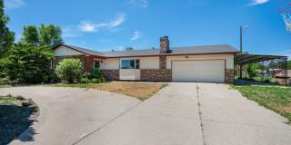 981 Tamarack Gallery 1