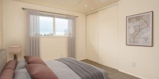 Pinewood Terrace Gallery 6