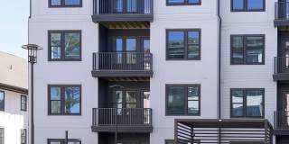 Novel Cary Gallery 27