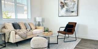 Zora Encanto Gallery 25