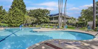 Shelter Creek Condo 1/1 available now Gallery 11