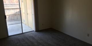 Beautifully Updated 2 Bed 2 Bath Gallery 10