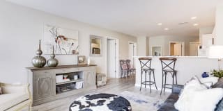 Artena Manassas Gallery 5