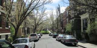 Carol Avenue Gallery 1