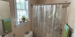 Large 3 Bedroom | 2.5 Bath in The Fan! Gallery 9