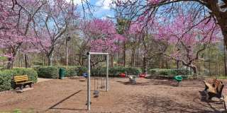 21877 ELKINS Terrace Gallery 28