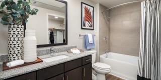 Salado at Red Berry Gallery 13