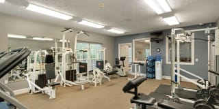 Torrey Pines Gallery 20