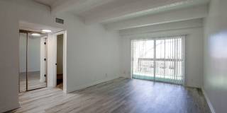 Los Altos Towers Gallery 17