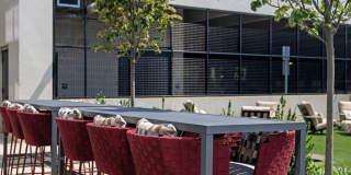 Madison West Elm Gallery 11