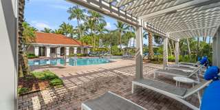 Windsor Coral Springs Gallery 16