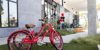 Vivo on Harbor Gallery 32