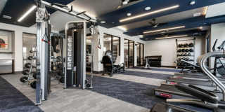 Brightleaf at Lakeline Gallery 55