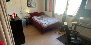6 Bedroom 3 Bath- Large rooms, AC Gallery 4